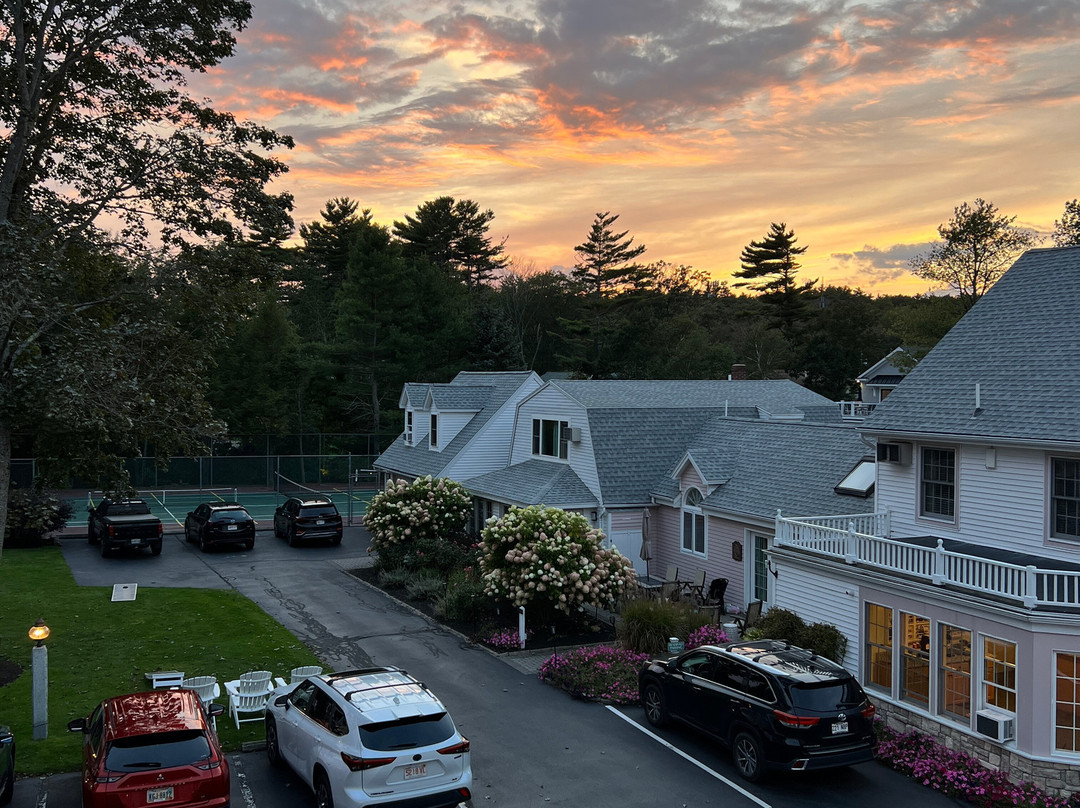 Pink Blossoms Resort主图