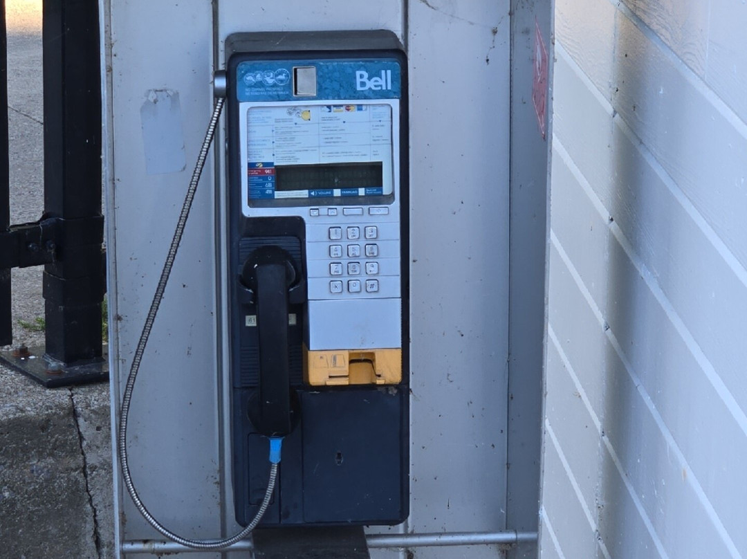 Quality Inn & Suites主图