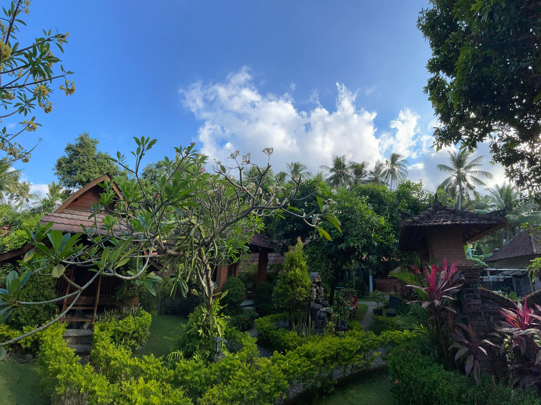 The Lumbung Tejakula主图