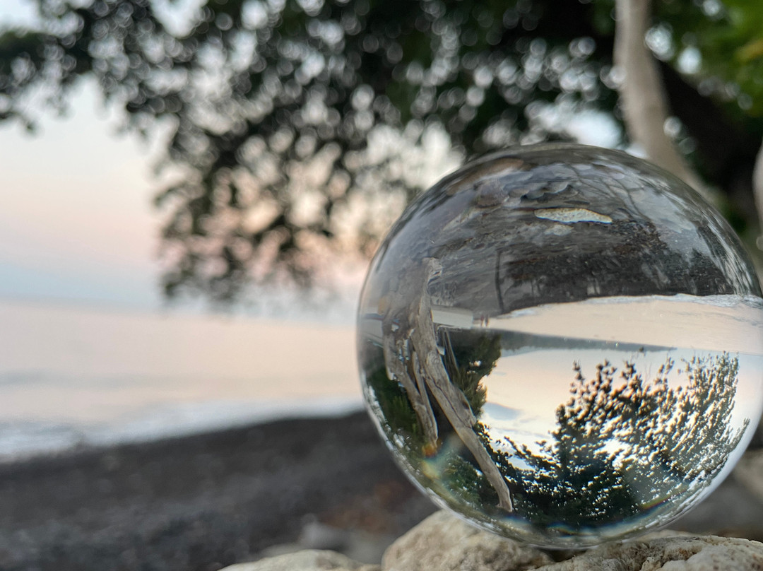 The Lumbung Tejakula主图