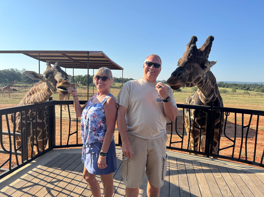 Longneck Manor-弗雷德里克斯堡必去景点