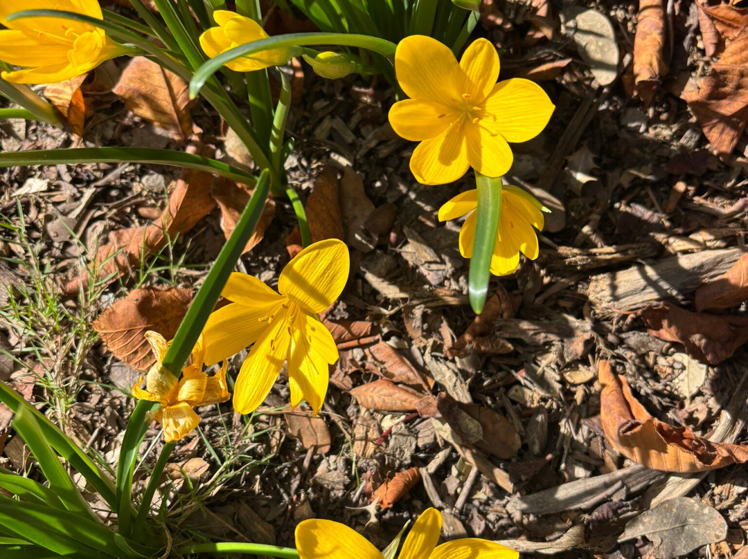 Bishop's Palace Gardens-奇切斯特必去景点