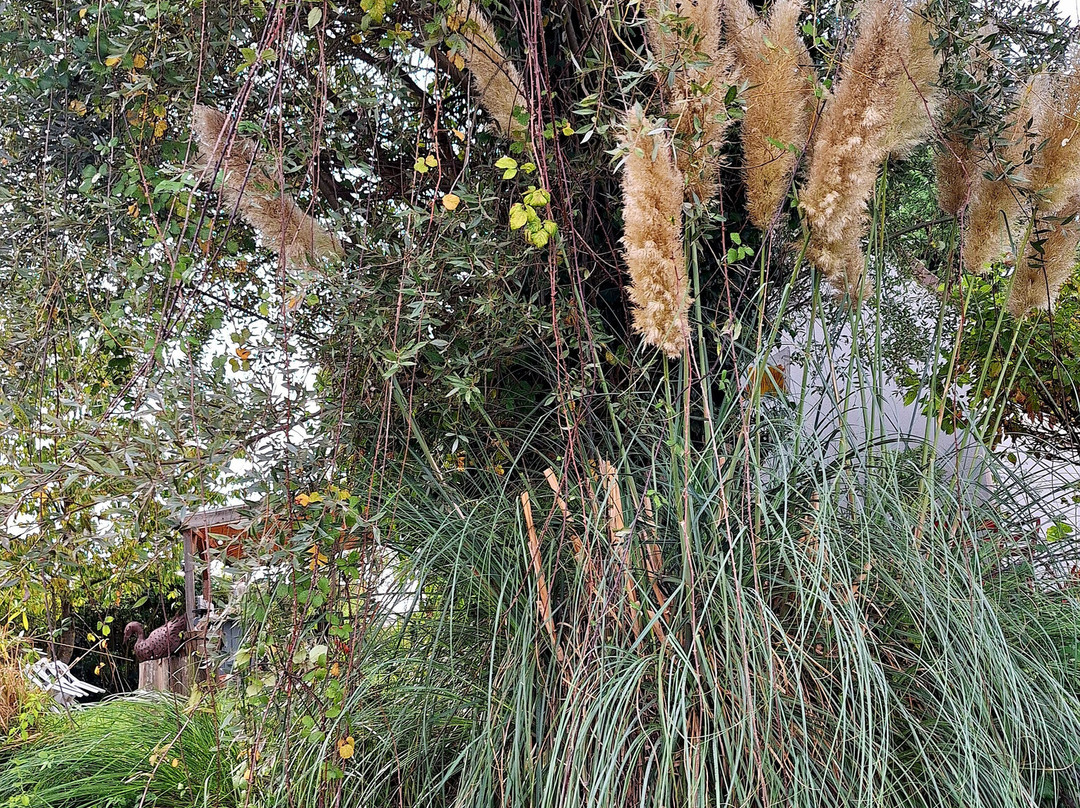 Les Faiseurs de Bateaux-圣奥梅尔必去景点