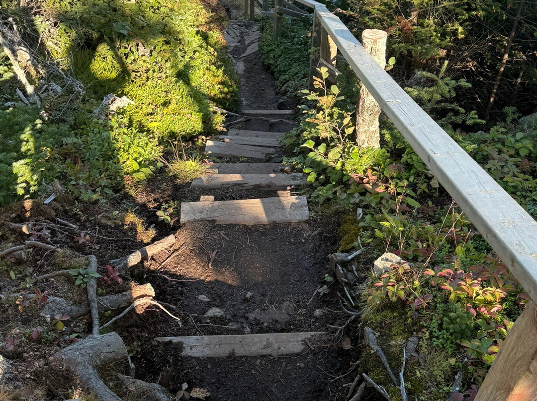 Skerwink Trail-Port Rexton必去景点