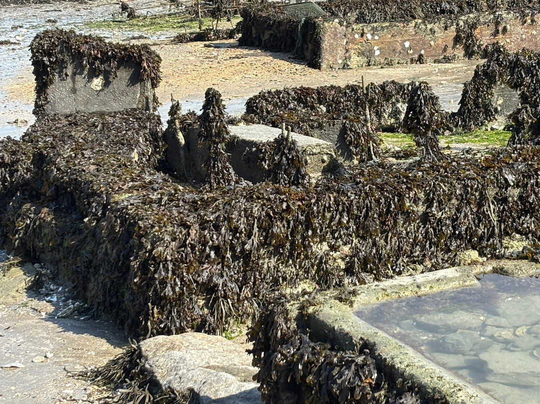 Hotel - Restaurant du Chateau主图