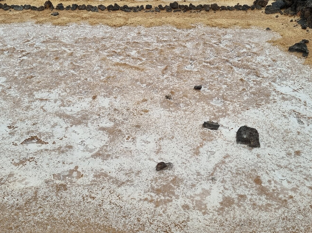 Salinas de los Cocoteros-Teguise必去景点