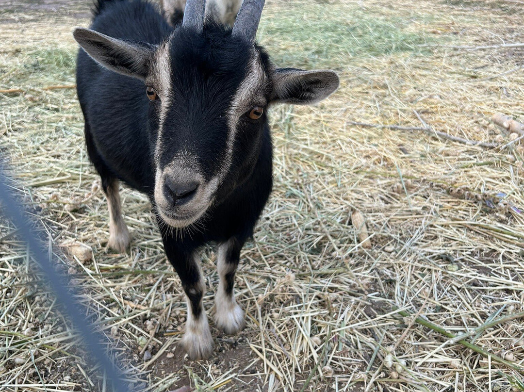 Casa Azul Bed & Breakfast主图