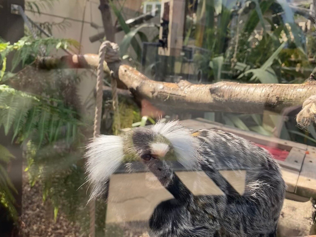 Filey Bird Garden & Animal Park-Filey必去景点