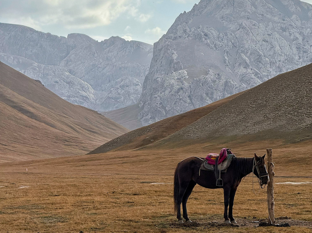 Kyrgyz Riders Travel Company-Kochkor必去景点