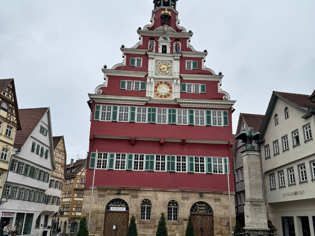 Esslingen City Tours-内卡河畔埃斯林根必去景点