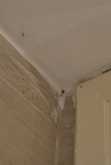 新巴达旅馆主图