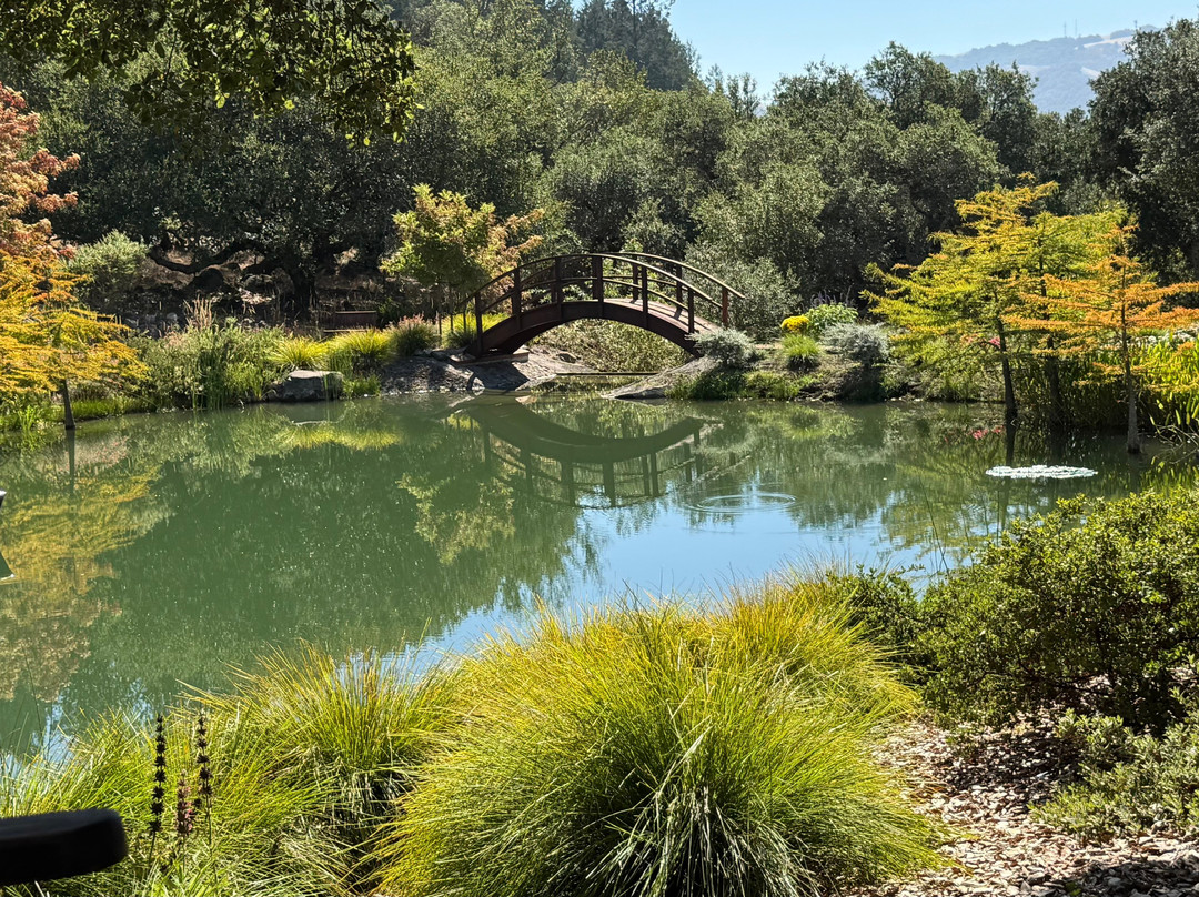 Coursey Graves Estate Winery-圣罗莎必去景点