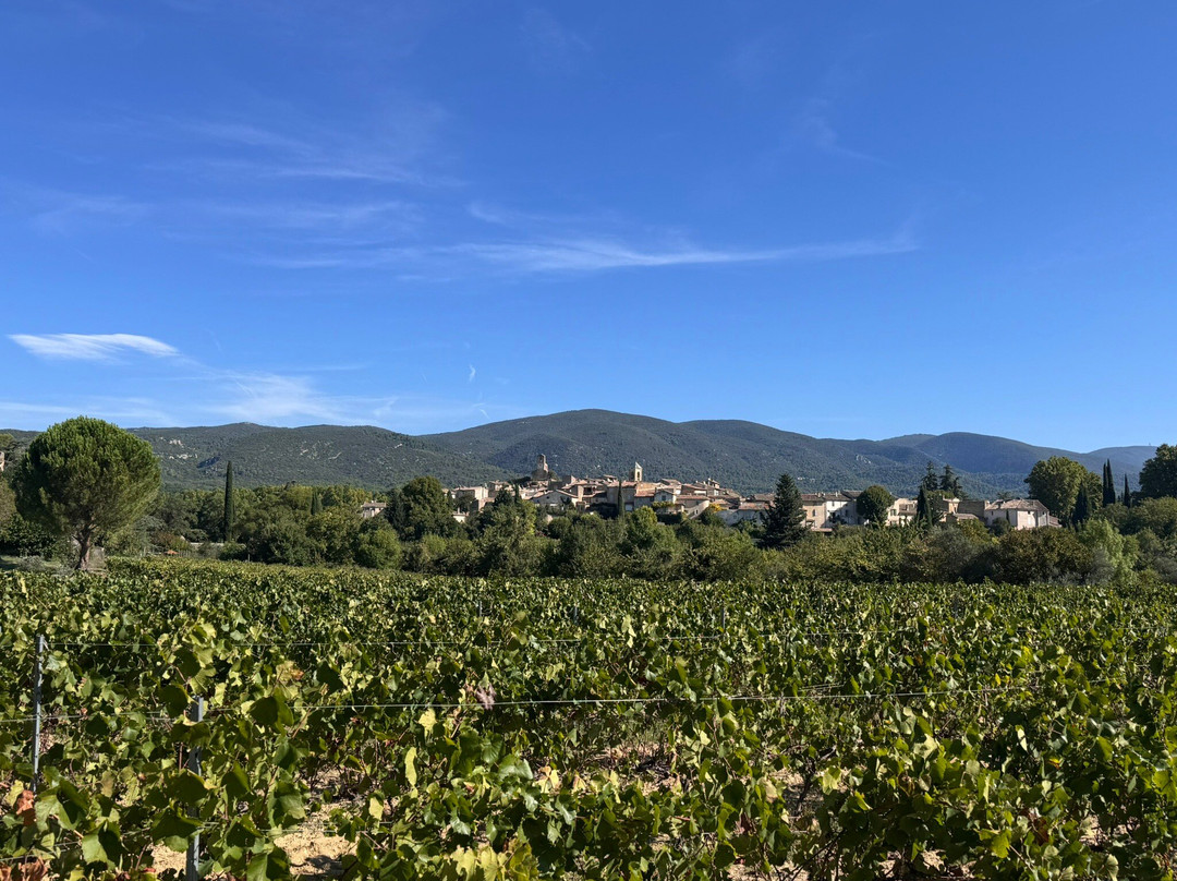 Driver B&C-Lacoste必去景点