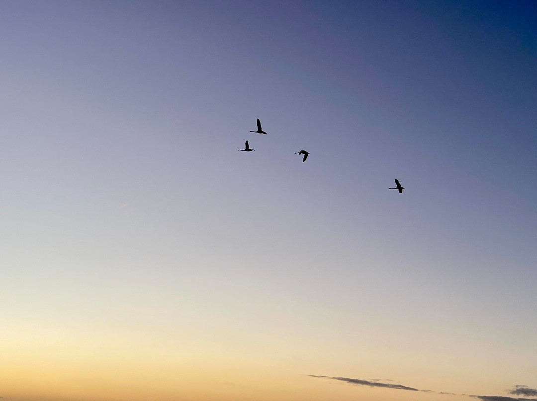 French Island National Park-French Island必去景点
