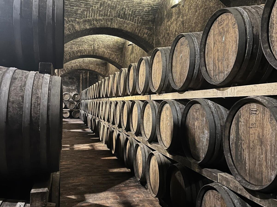 Azienda Agraria Scacciadiavoli-Montefalco必去景点