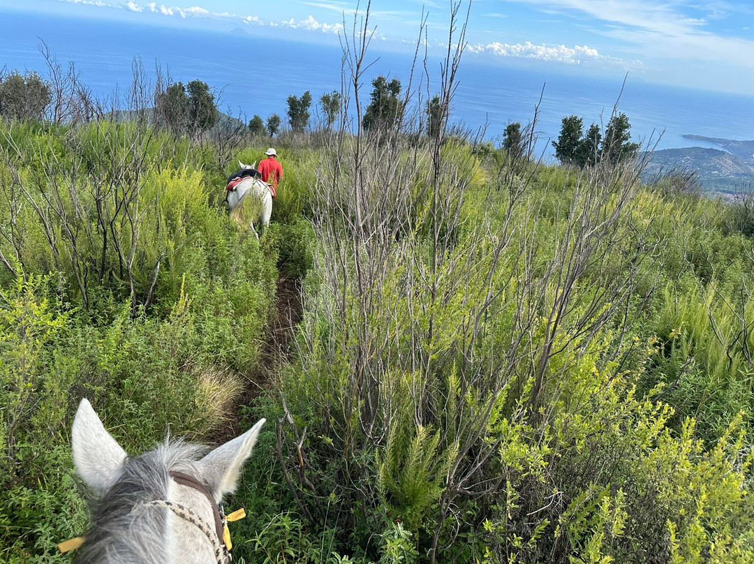 Ride Sicily-切法卢必去景点