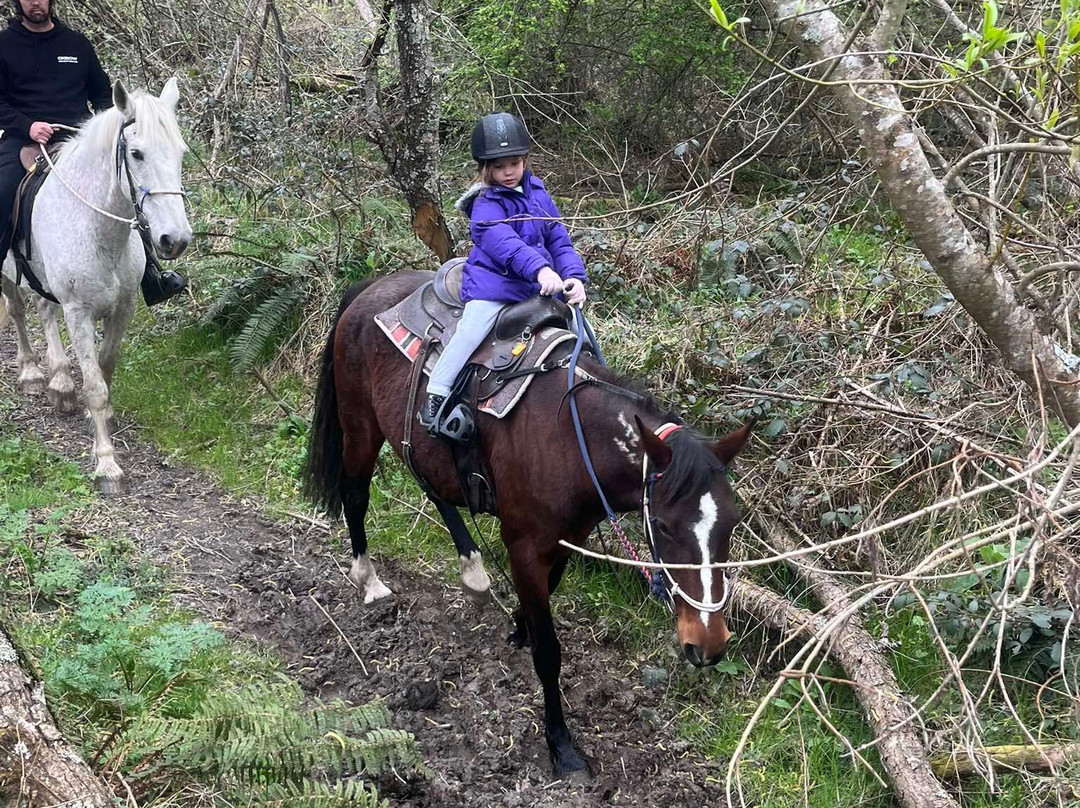 Real Kiwi Horse Trekking