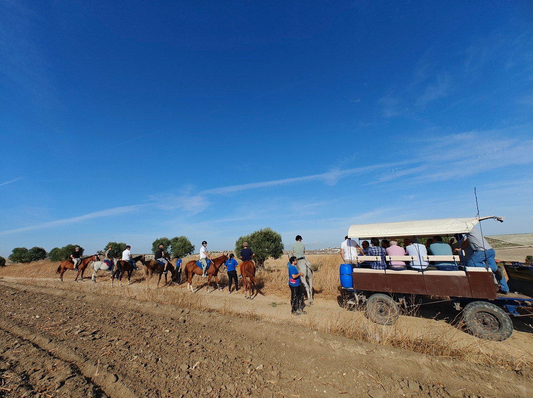 Al-Mesquid Stables-Sanlucar de Barrameda必去景点