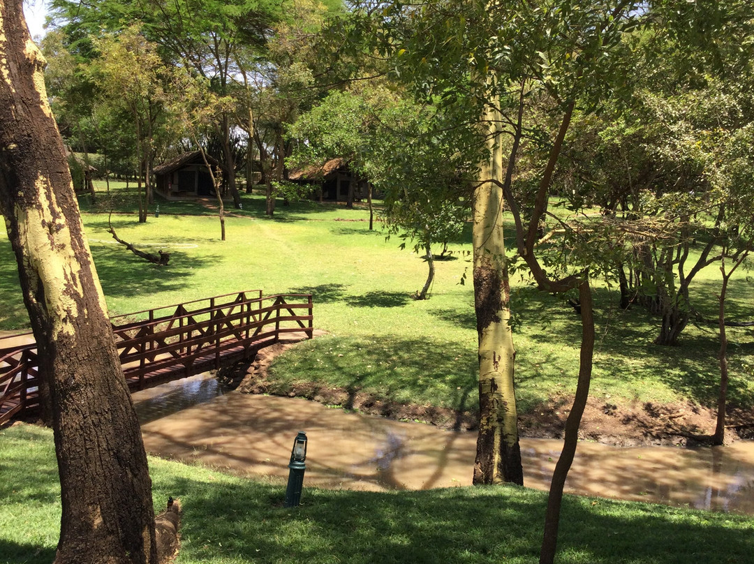 Voyager Ziwani Camp主图