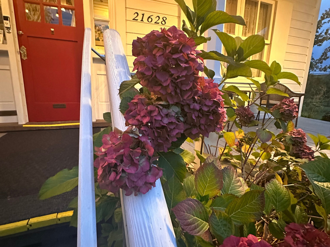 Princess And The Pea Hotel主图