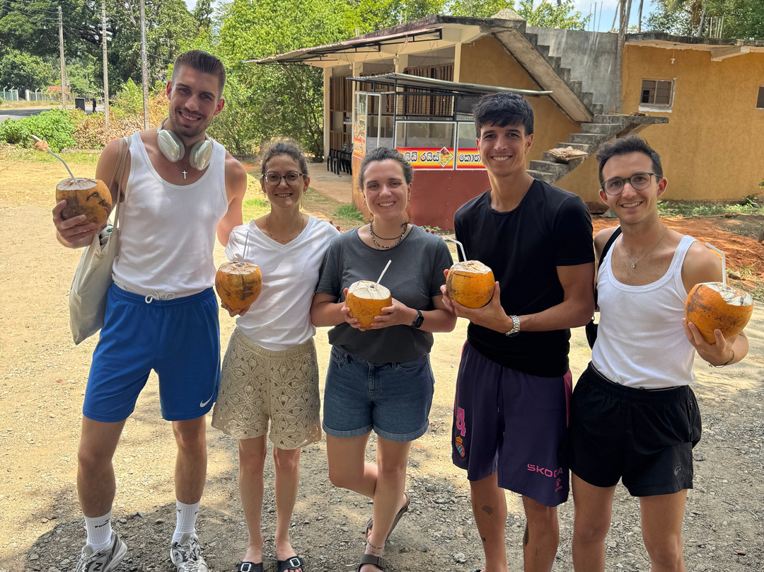 Idyll Odyssey Holidays-科伦坡必去景点