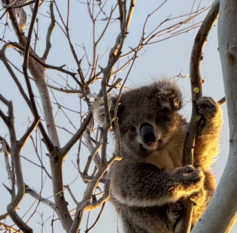 French Island Eco Inn主图