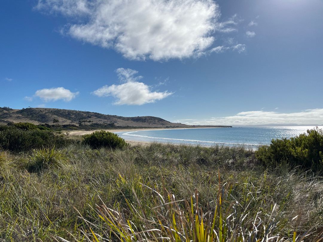 Spiky Beach Conservation Area-斯旺西必去景点