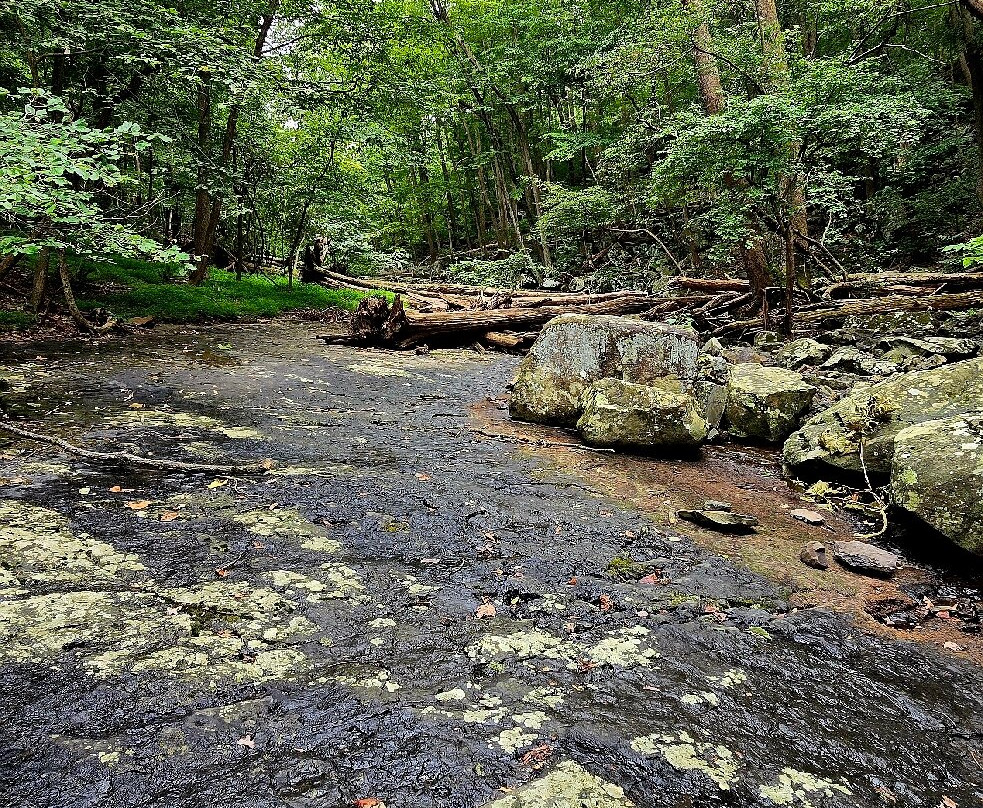 Ringing Rocks County Park-Upper Black Eddy必去景点