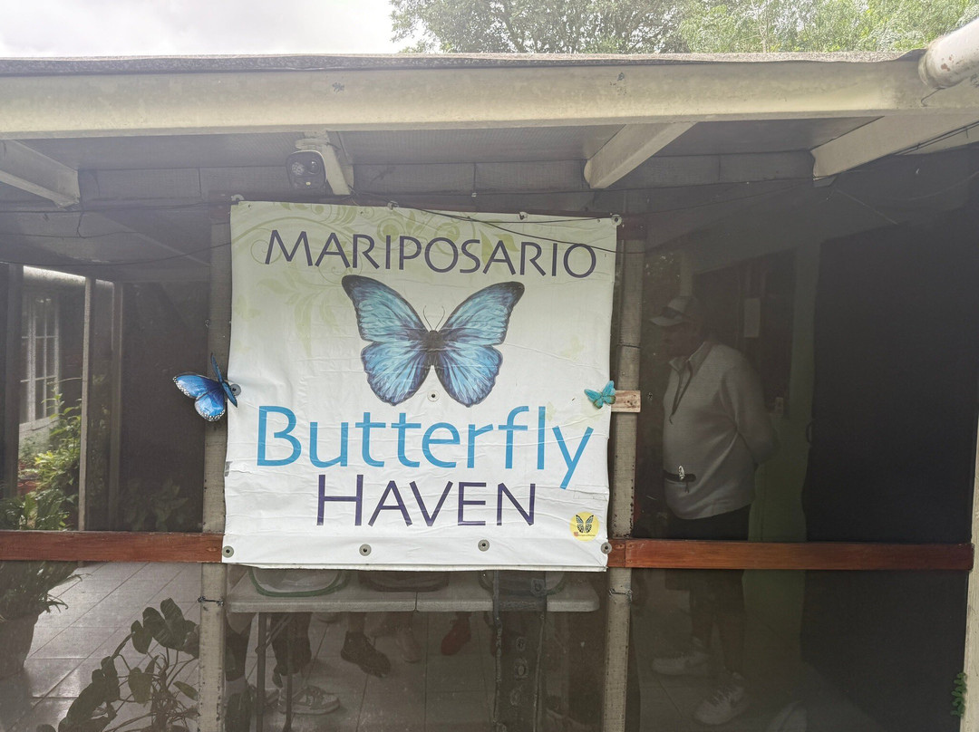 Butterfly Haven-安东谷必去景点