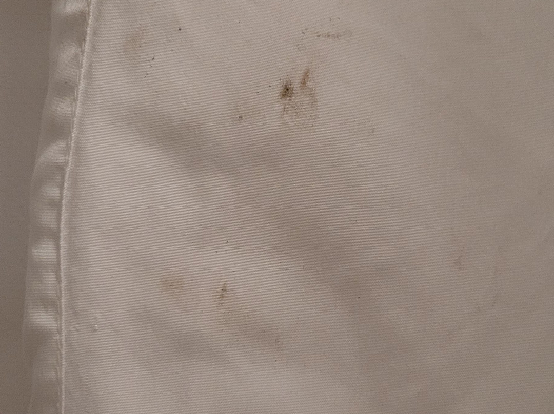 Comfort Inn Kenora主图