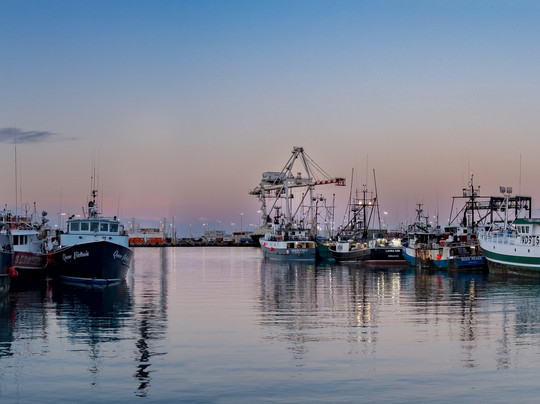 火奴鲁鲁鲜鱼拍卖会-火奴鲁鲁必去景点