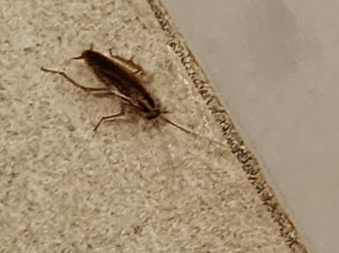 Holiday Inn Express Richmond-Mechanicsville by IHG主图