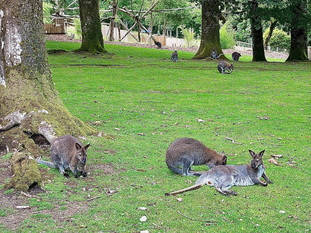 Parc Animalier et Botanique de Branféré-Le Guerno必去景点