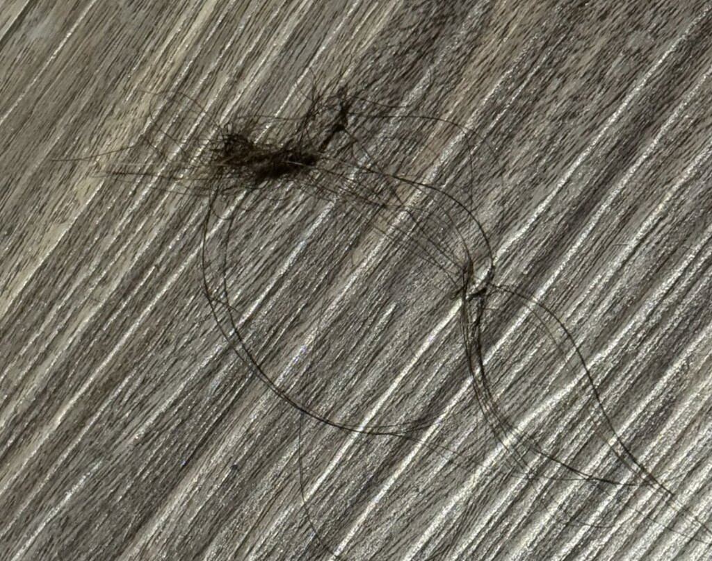 City Express Plus by Marriott Leon Centro de Convenciones主图