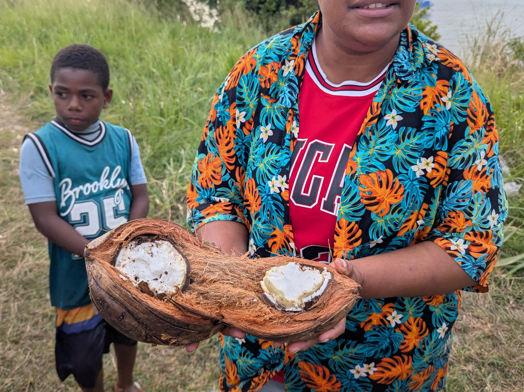 Paruki Transfer & Tour Adventures-维拉港必去景点