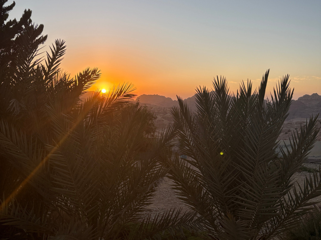 B&b Petra Fig Tree Villa主图