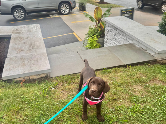 萨沃伊乔治敦套房酒店主图