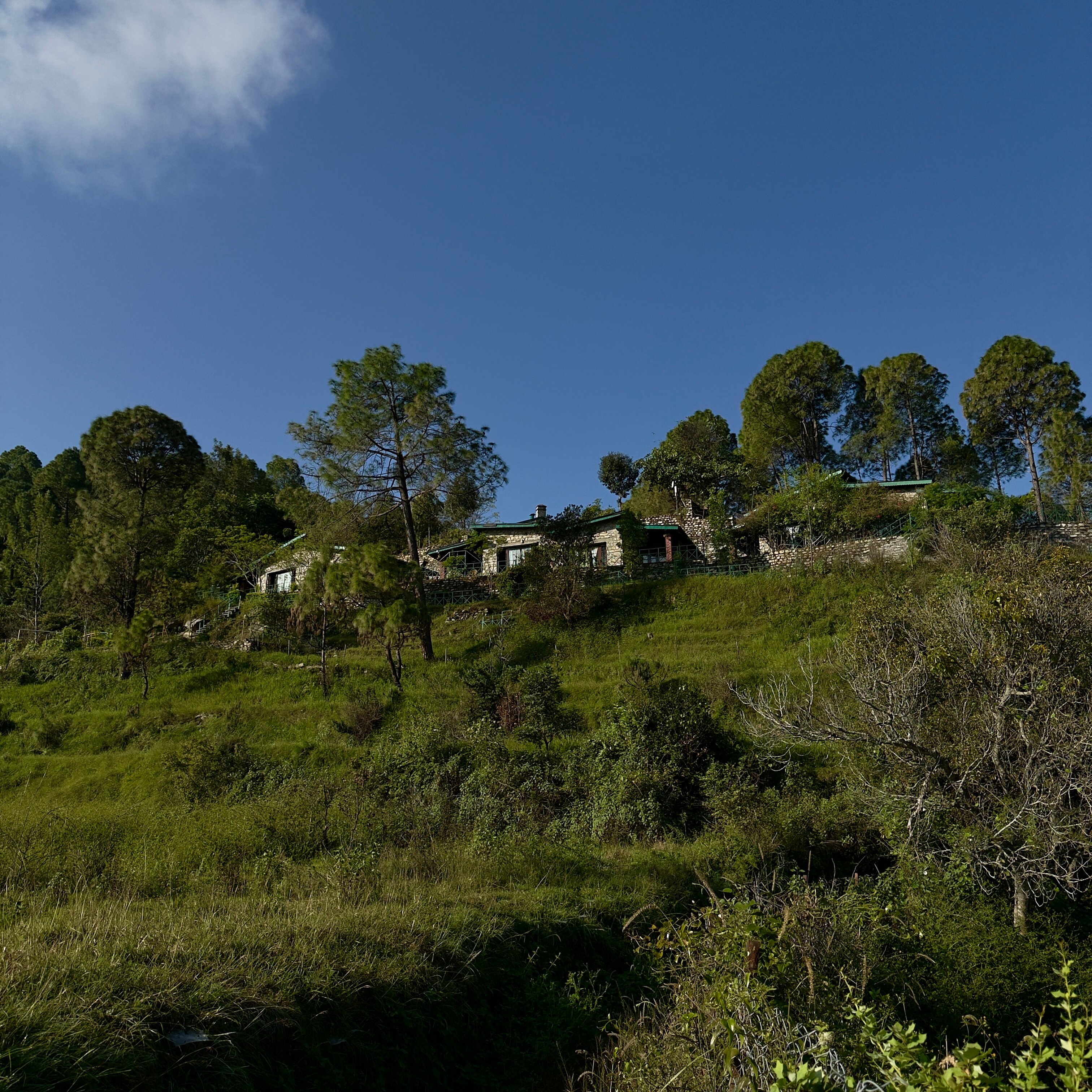 Renz Himalayan Retreat-浴室