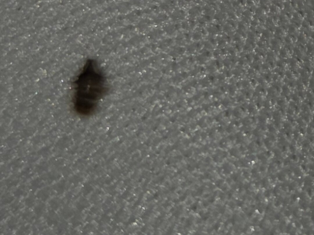 Treetop Village主图