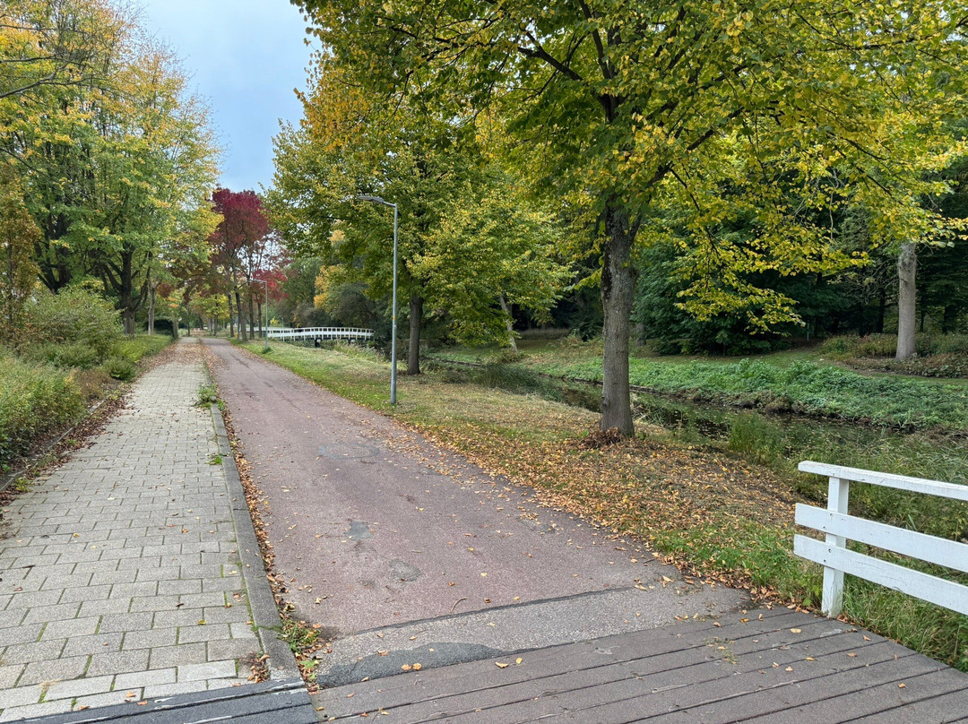 Kinderboerderij De Boerenzwaluw-霍夫多普必去景点