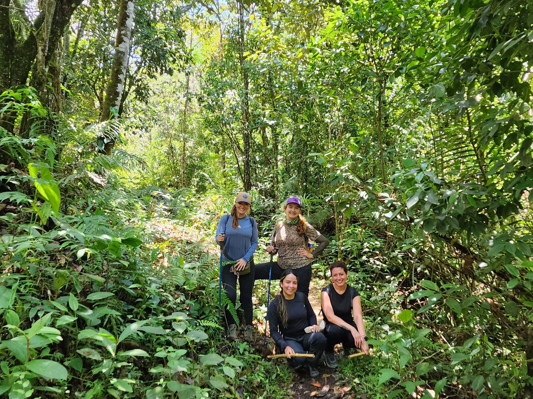 Esmeralda Ecotours San Rafael-San Rafael必去景点