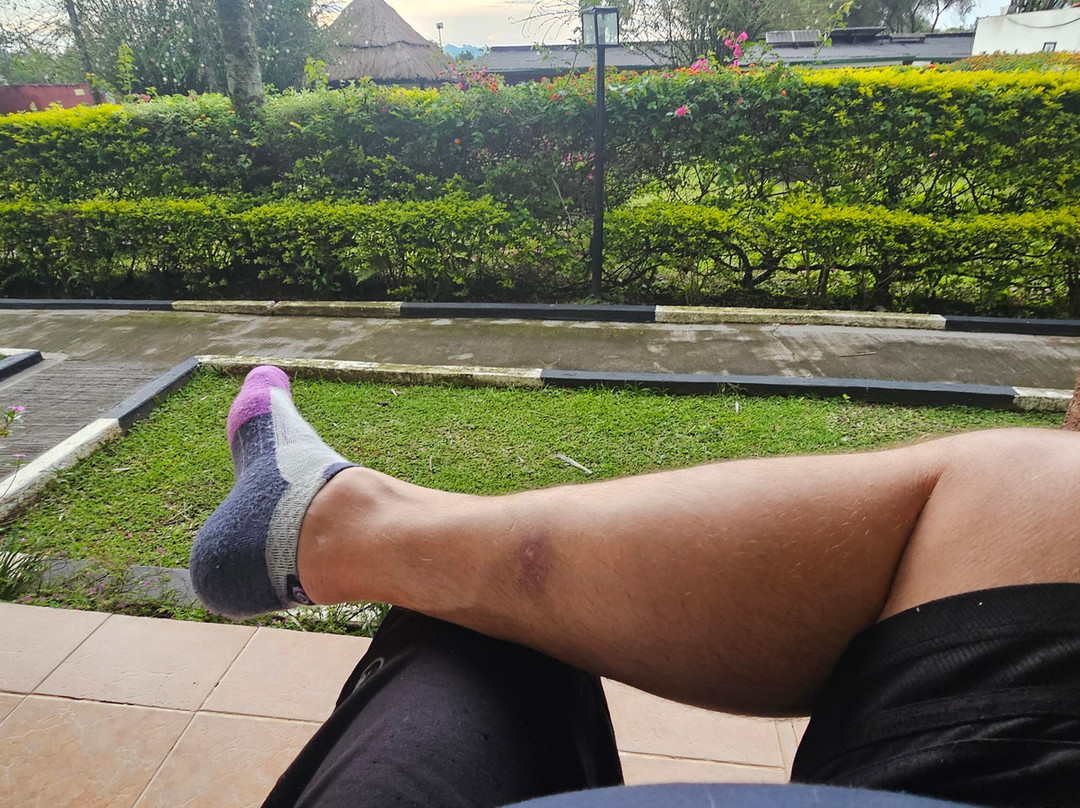 ATACO Country Resort主图