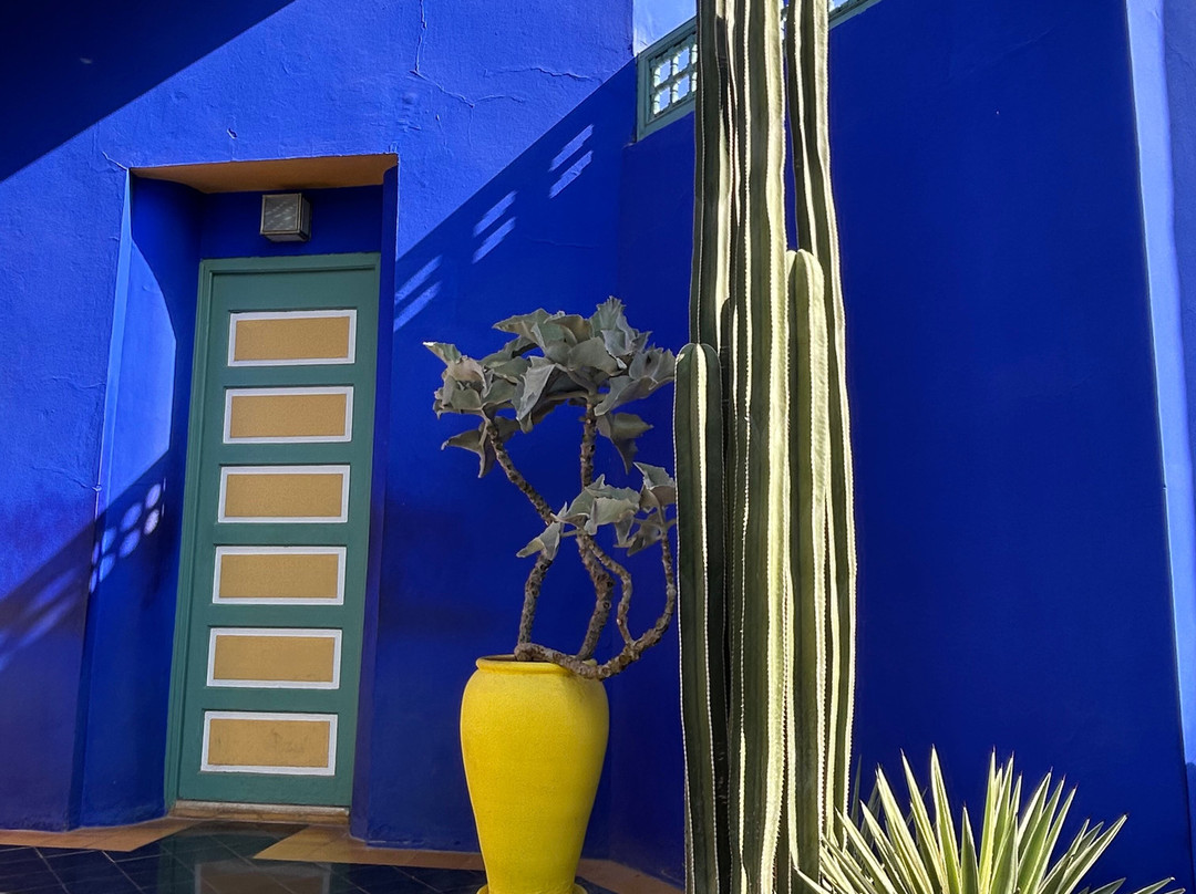 Morocco DailyXplore Tours-卡萨布兰卡必去景点