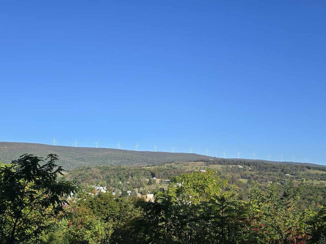 Tracks and Yaks-弗罗斯特堡必去景点