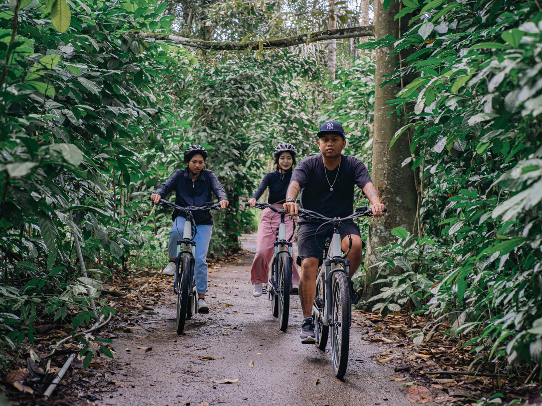 Genuine Bali Experience-乌布必去景点