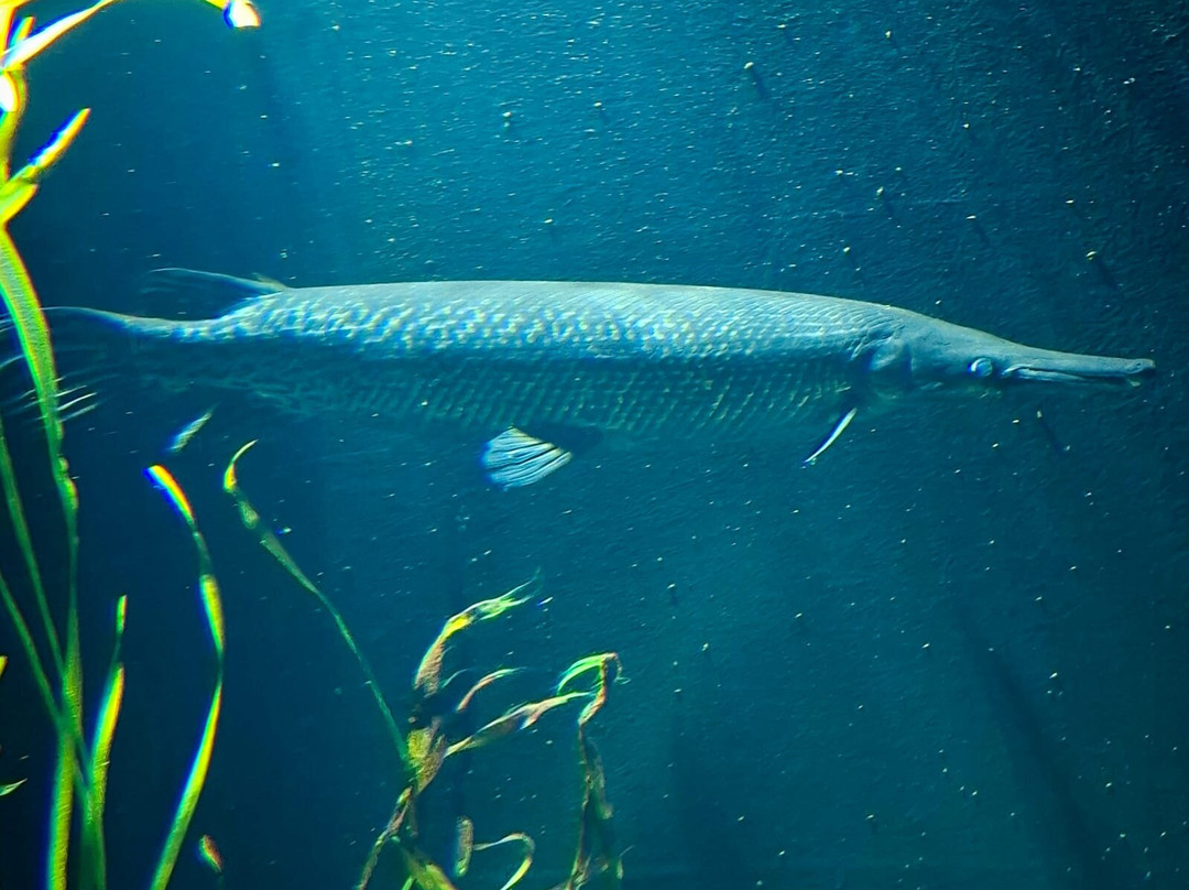 Bergen Aquarium-卑尔根必去景点