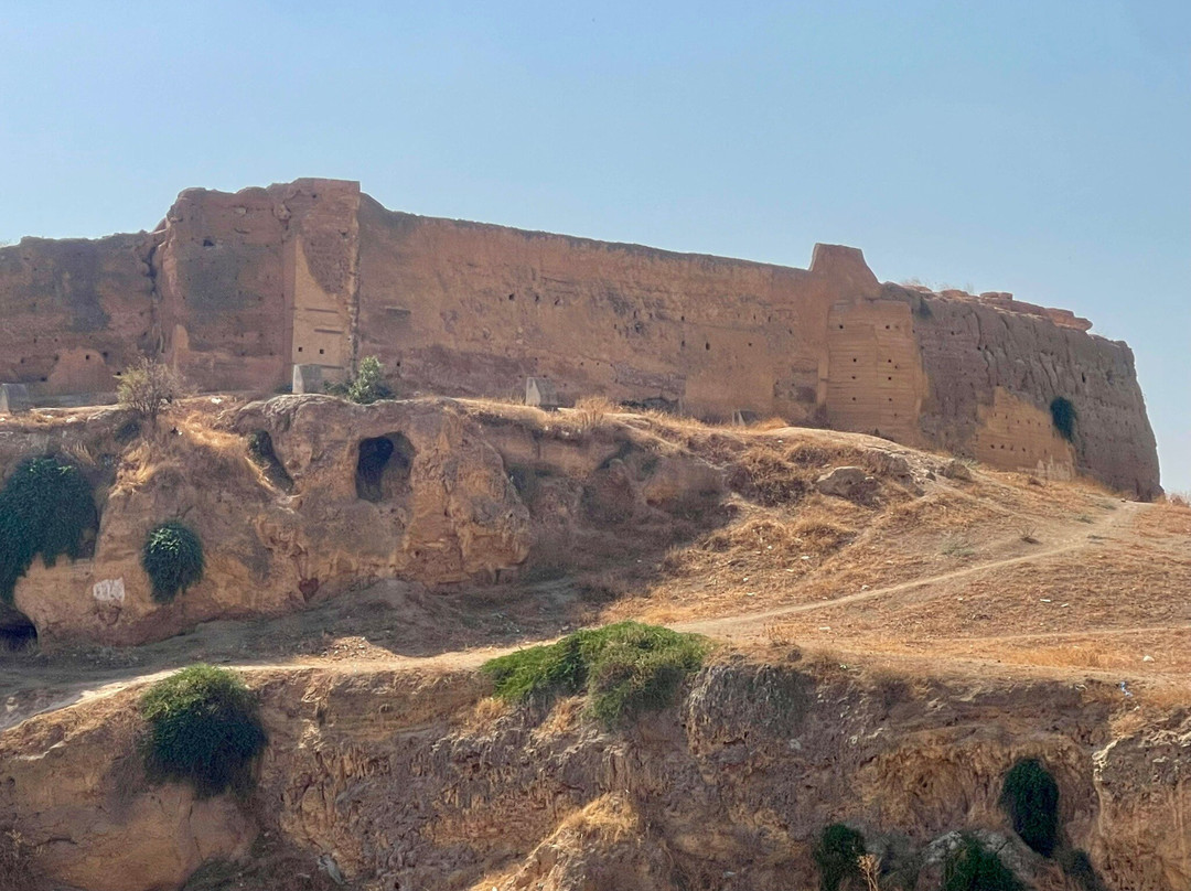 Maison d'hotes La Ferme Aziza主图