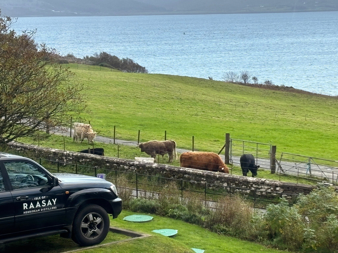 Isle of Raasay Distillery-Isle of Raasay必去景点