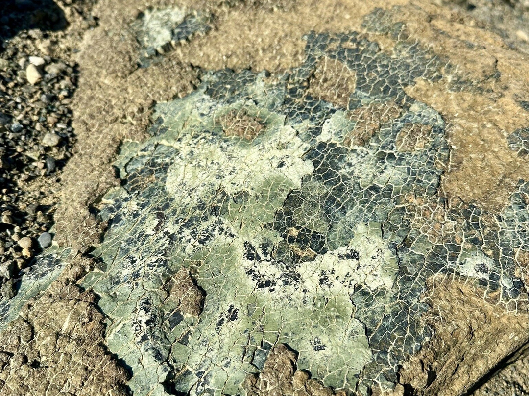 The Discovery Center-Woody Point必去景点