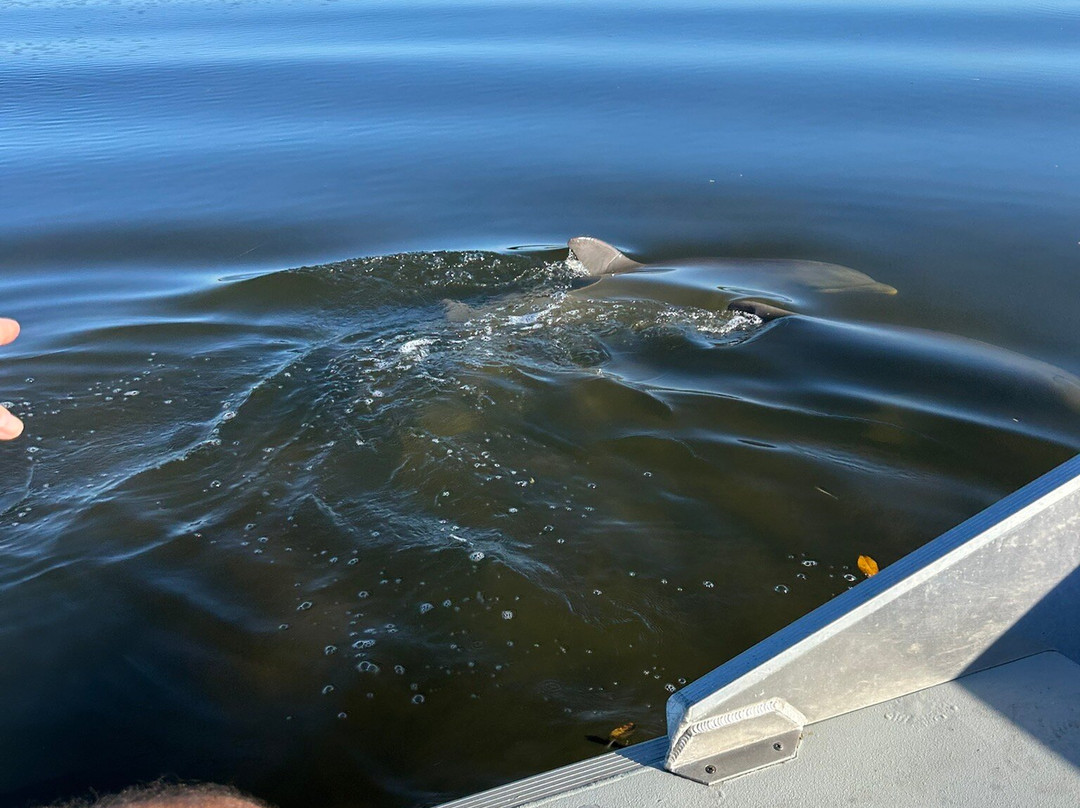 Ozello Boats-克里斯特尔里弗必去景点
